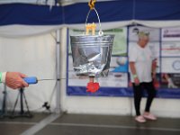 IMG 4589