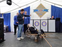 IMG 4997