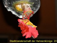 IMG 7565