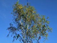 IMG 9857